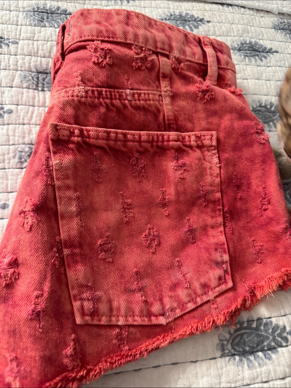 Nordstrom We the Free  Red Distressed Embroidered Denim Shorts - Picture 4 of 5
